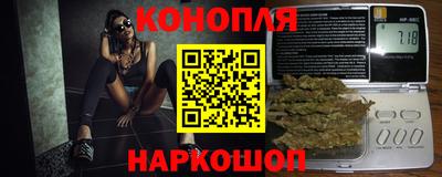 индика Пыть-Ях