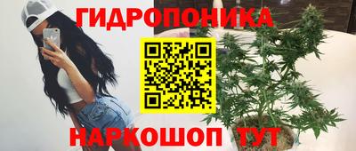 индика Пыть-Ях