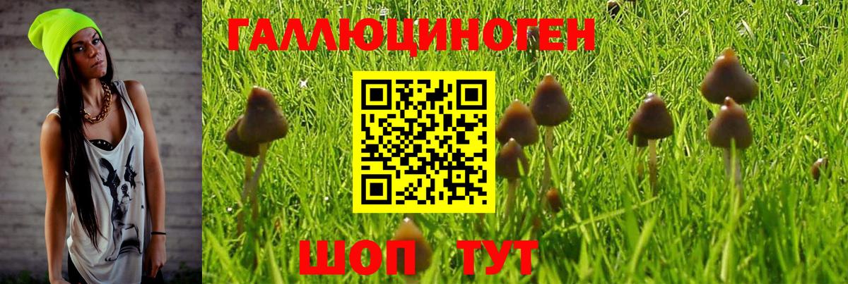 Псилоцибиновые грибы мухоморы  Галлюциногенные грибы Magic Shrooms  Вход с VPN  Серов 