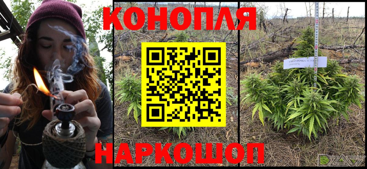 Серов  МАРИХУАНА Bruce Banner  Канабис планчик  Вход с VPN  Марихуана Amnesia 